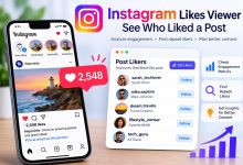 Instagram Likes Viewer showing post likers and engagement analytics