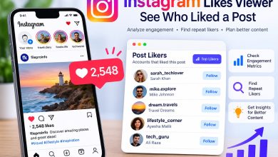 Instagram Likes Viewer showing post likers and engagement analytics